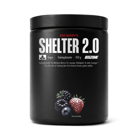 BIG ZONE Shelter 2.0 - 400 g Red Berrys