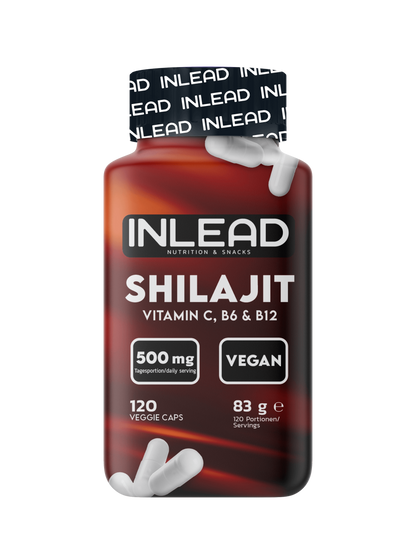 Inlead Shilajit – 120 Caps