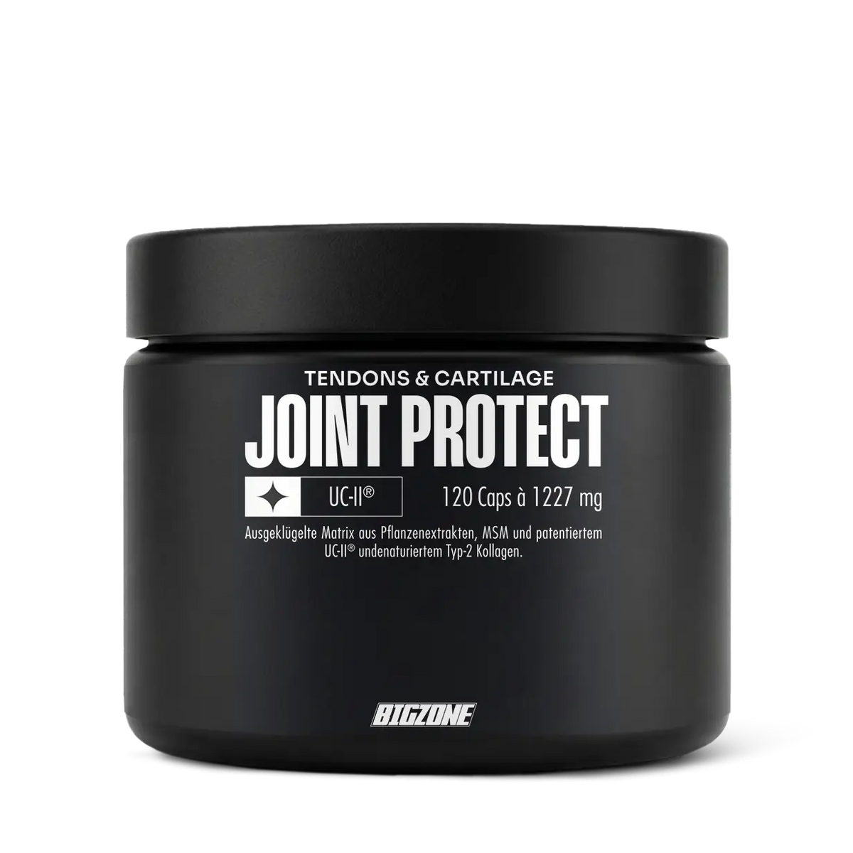 BIG ZONE Joint Protect - 120 Kapseln