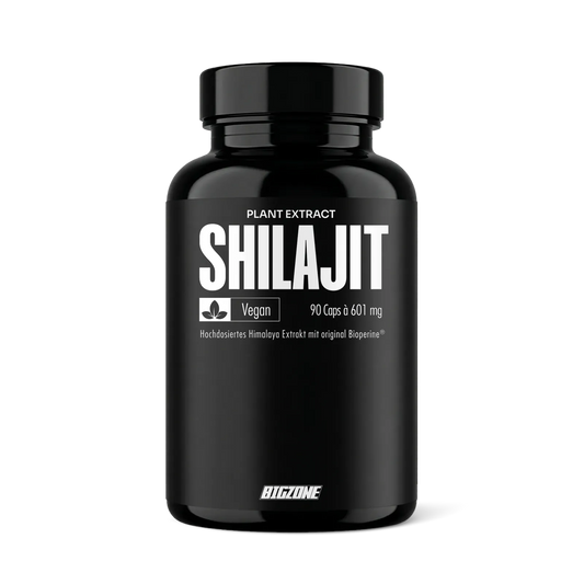 BIG ZONE Shilajit - 90 Kapseln