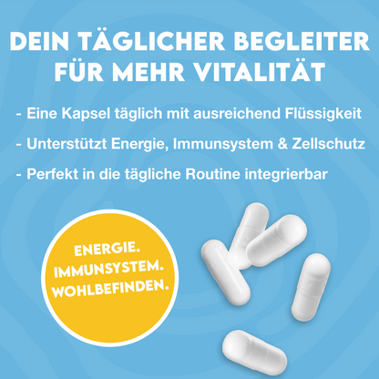 Inlead Vitamin C – 90 Caps